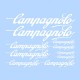 samolepka na kolo-rámový polep Campagnolo bílý