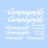 samolepka na kolo-r&aacute;mov&yacute; polep Campagnolo b&iacute;l&yacute;